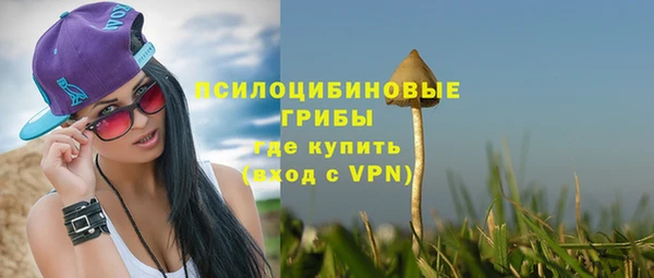 бошки Россошь