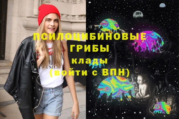 бошки Россошь