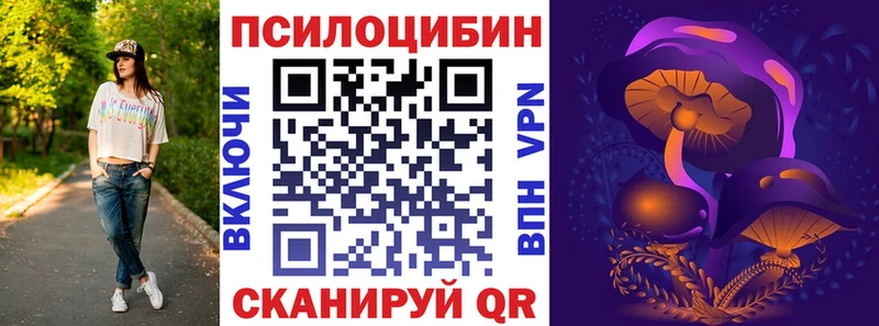как найти наркотики  Суровикино  Галлюциногенные грибы MAGIC MUSHROOMS 